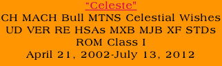 “Celeste" CH MACH Bull MTNS Celestial Wishes UD VER RE HSAs MXB MJB XF STDs ROM Class I April 21, 2002-July 13, 2012