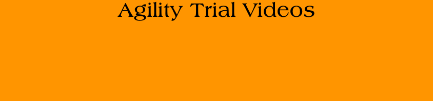 Agility Trial Videos