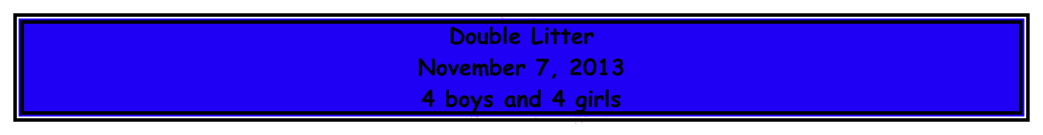 Double Litter November 7, 2013 4 boys and 4 girls